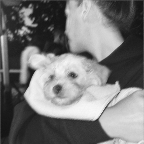 ⋆｡°✩ - Picture 7 of 7